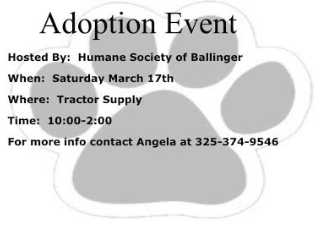 Adoption Event